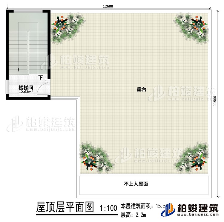 房頂：樓梯間、露臺(tái)